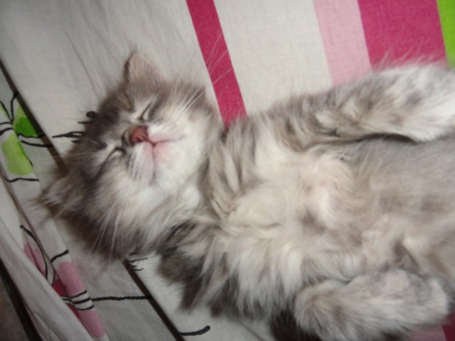 В ночь с 28 февраля на 1 марта. Без предупреждения