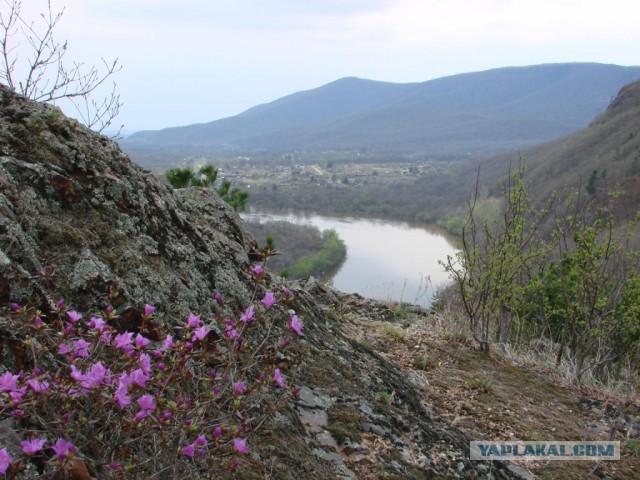 Владивосток и Русский остров с высоты...