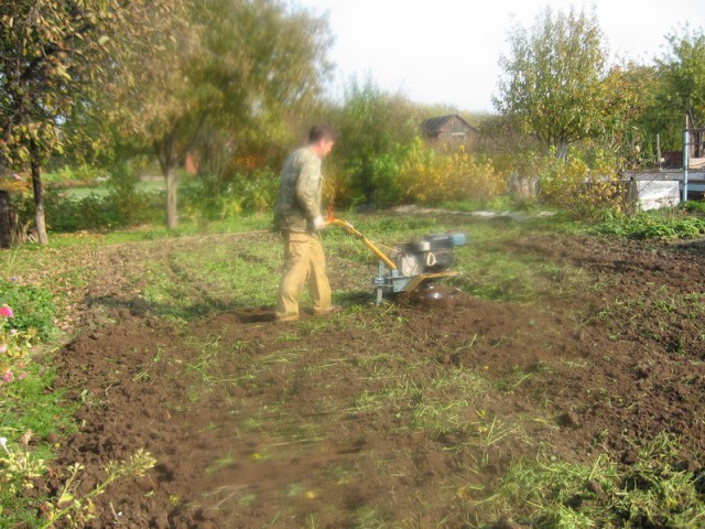 Чем мы бесим Америку и страдальцев по фуагра,