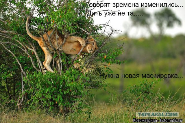 Чёрт, чёрт, чёрт!