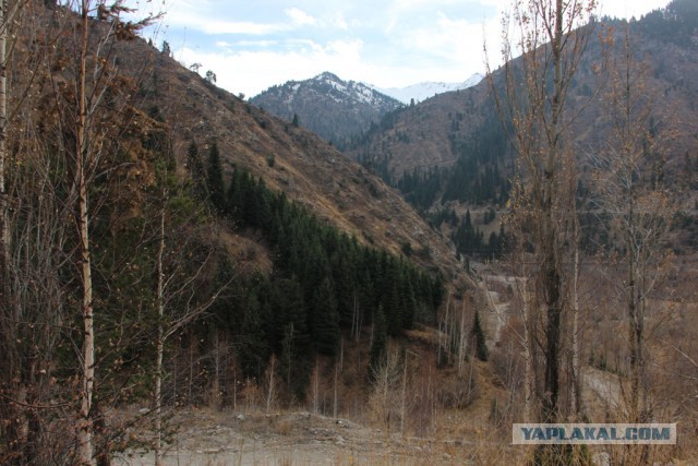 Деревенская Америка