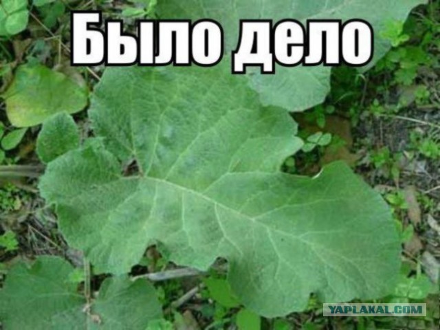 Как я стал "автохамом"