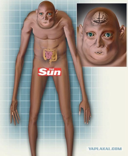 Люди через 1000 лет будут красавцами!