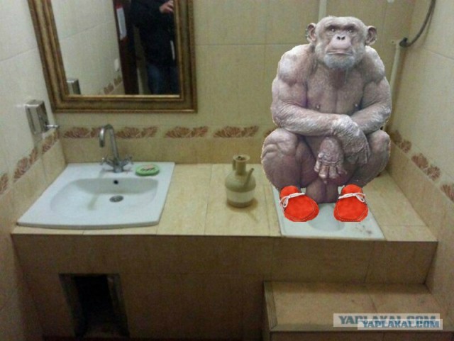 Кафе в Махачкале.