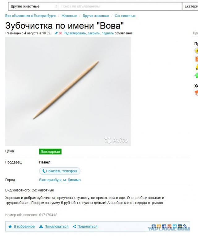 17 самых объявлений с Авито