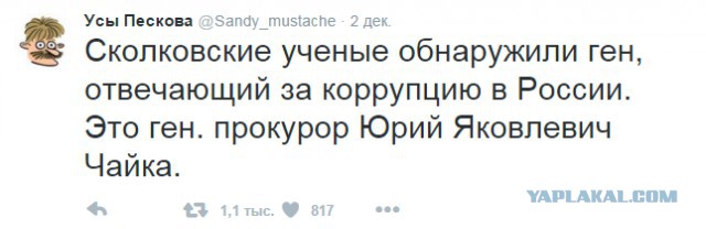 Песков объяснил, почему расследование о семье