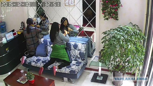 За что я люблю китайцев