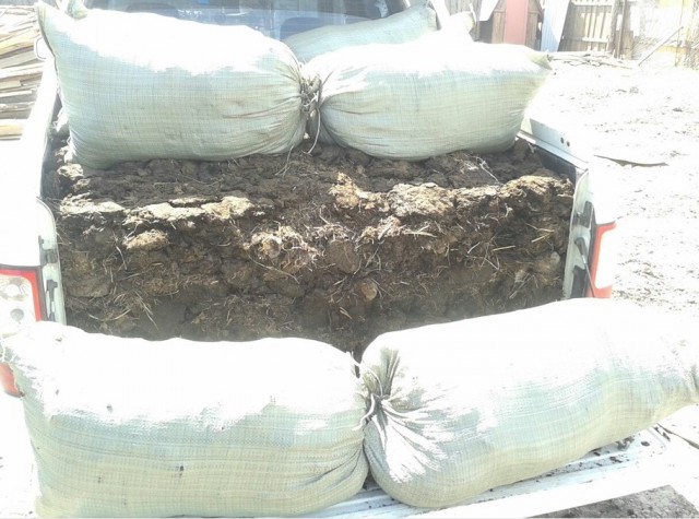 Гниющий UAZ Patriot и два отличных японца!