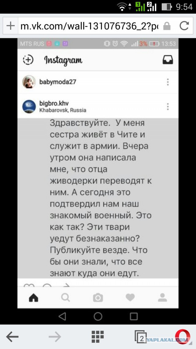Живодерки из Хабаровска
