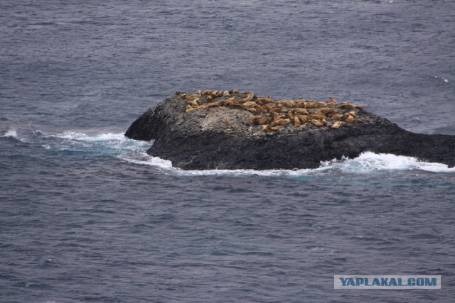 Просто Природа