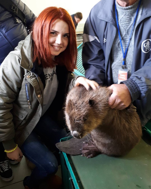 Как живут обитатели воронежского бобронариума. Да, такое место существует!