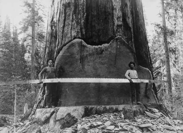 Фальшивая история человечества. Старинные фотографии