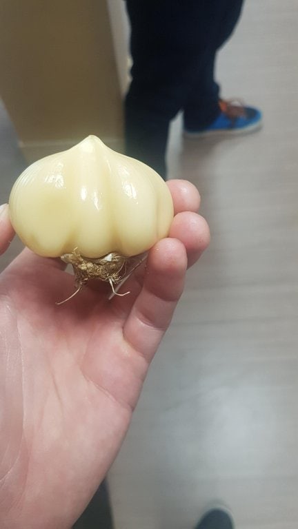 Снимки от людей, которым "повезло" с их неожиданными находками