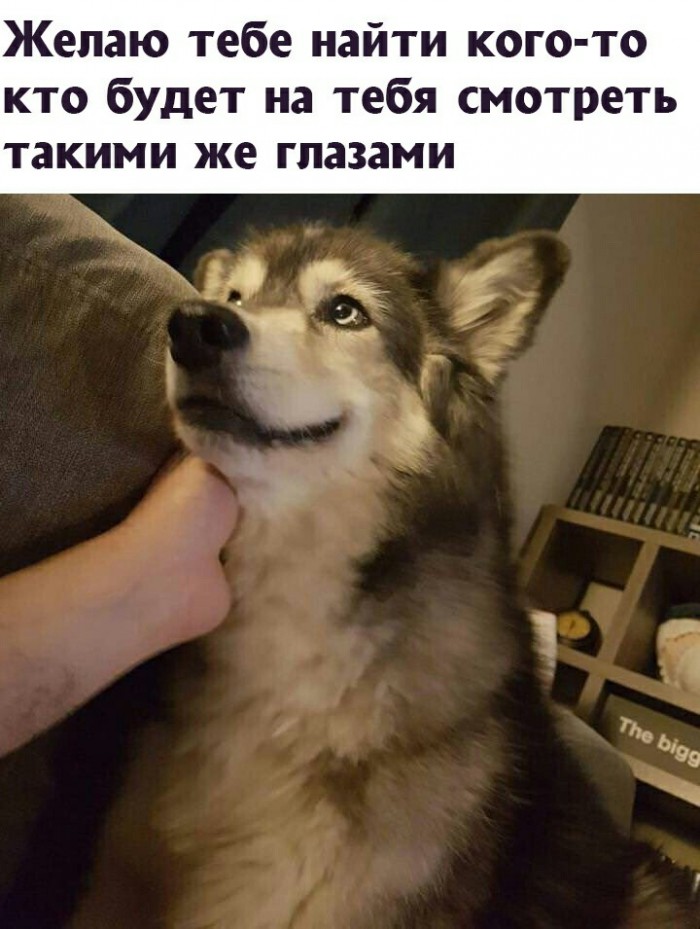 Пара-пара-пам! Фьють. Картинки с надписями. И прочий бред...