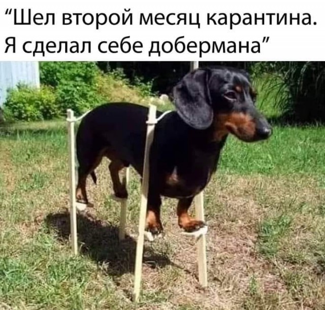 Так себе картинки #15