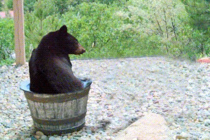 Фотожаба: Кто пил из бочки и все выпил?
