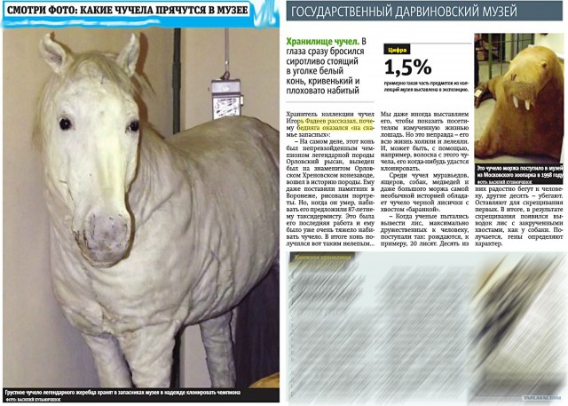 Таксидермия + наркомания