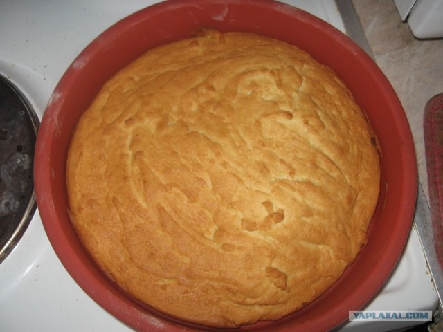 8 Марта International, или "Как пережить 8-е марта" – II