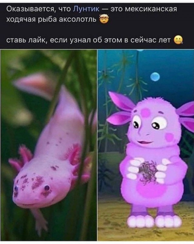 Так себе картинки 02.07.21