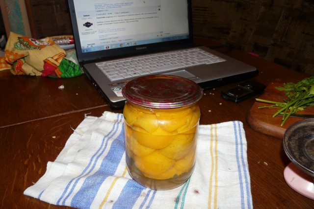 Пятничные посиделки на теплотрассе ©