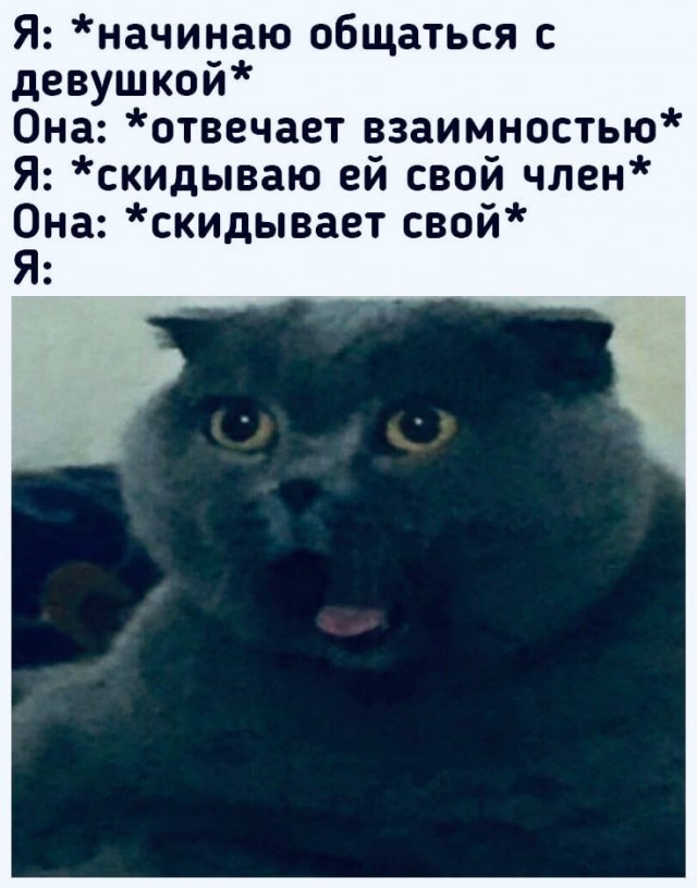 Пятница. И немного слегка пошлых картинок с надписями и без 16+ (17.09))