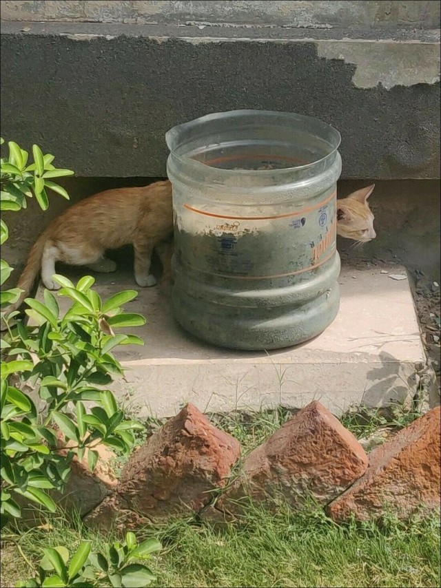 Юмор из Сети 20.06.22