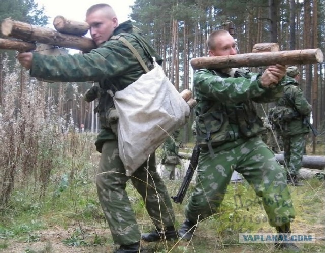 А зачем простым гражданам мобилизироваться ?