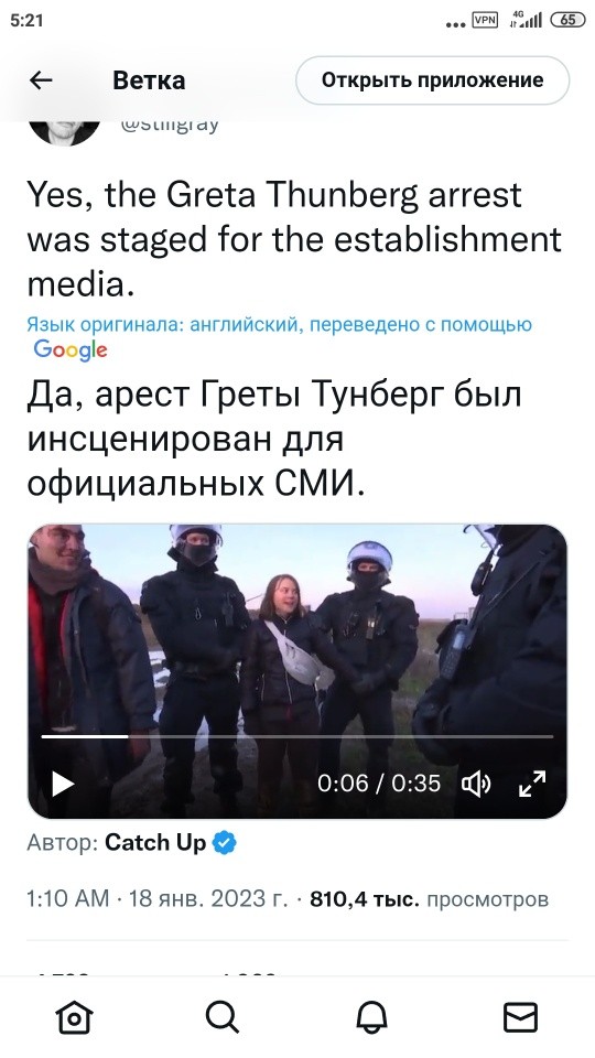 Задержание Греты Тунберг - постановка