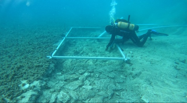 На дне Адриатического моря нашли 6900-летнюю дорогу