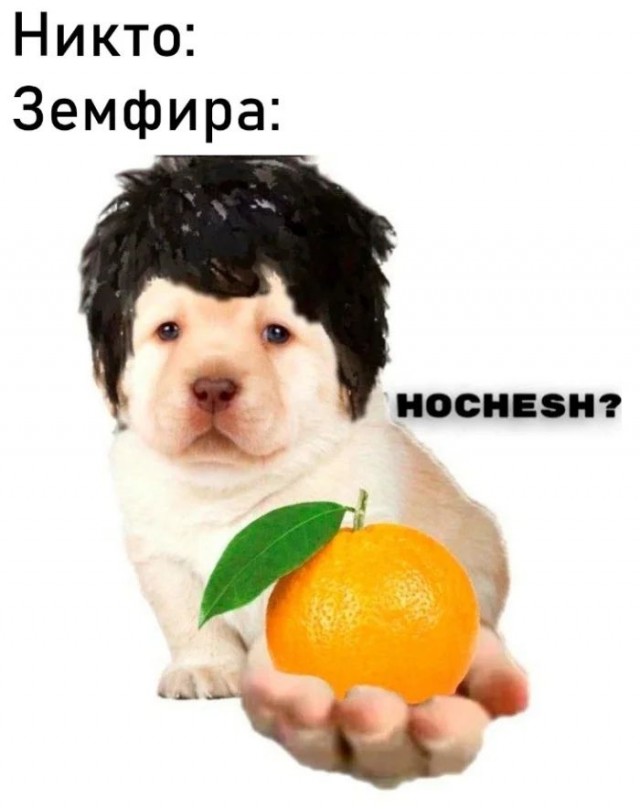 Приколы в понедельник