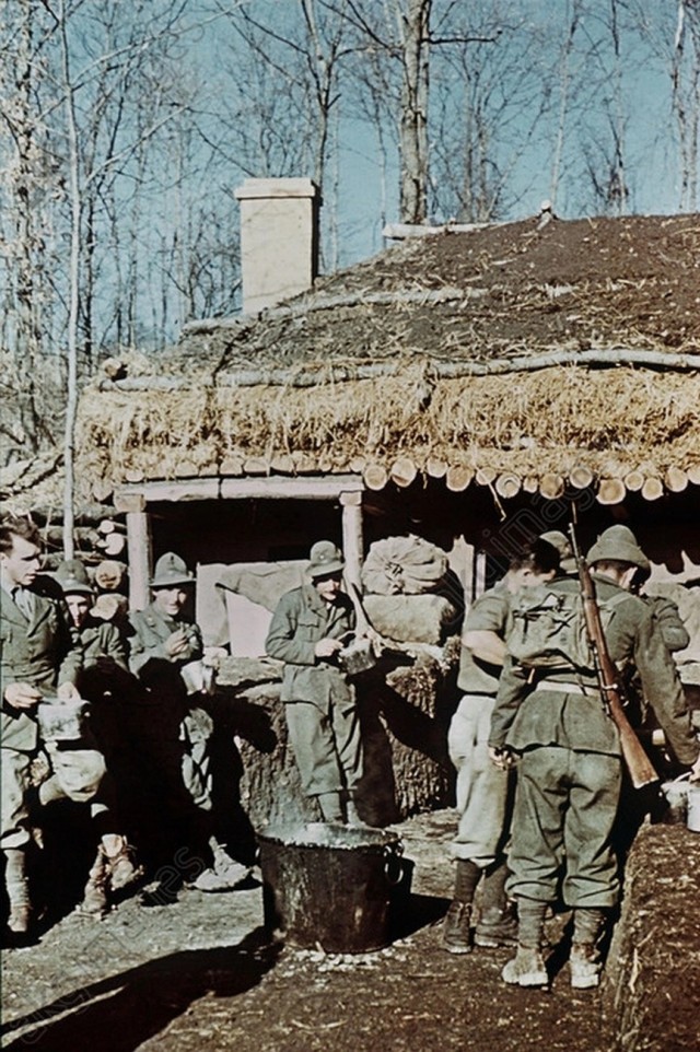 Цвет войны. Фотоподборка