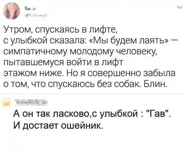 Пошло-тупые картинки для деградации
