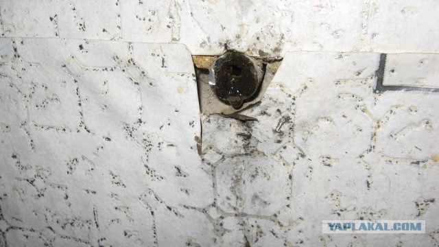 Что мы пьем