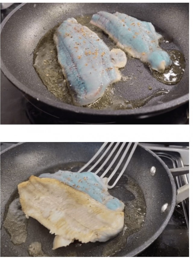 Удивительная рыба с синей плотью бледнеет при приготовлении