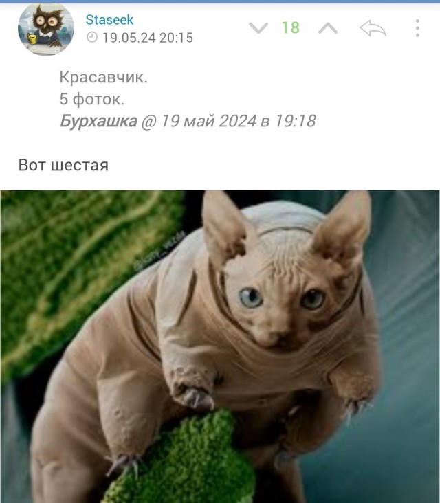Вот вам, Розовый пухляш