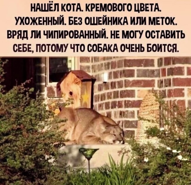 Завалялось тут случайно немного забавных картинок