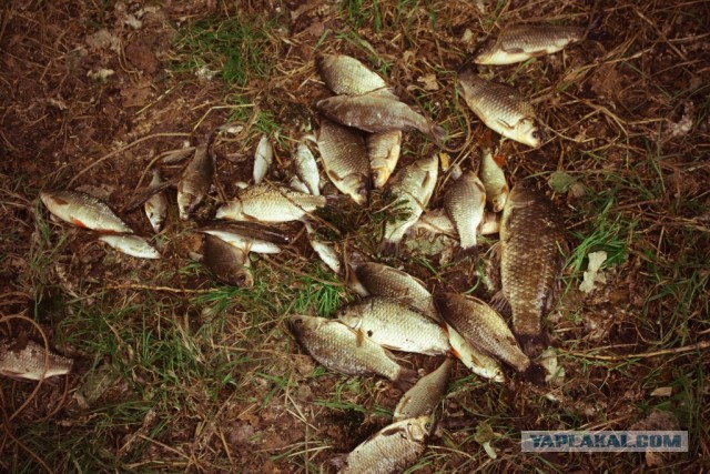 В дали от городской суеты