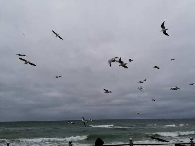 Литературная беседка v.1