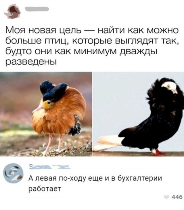 Завалялось тут случайно немного забавных картинок