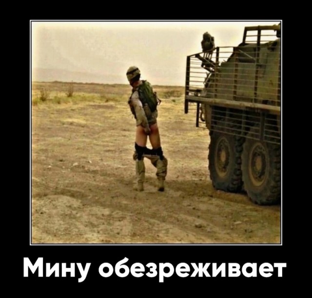 Картинки для деградации 12 (разной степени свежести)