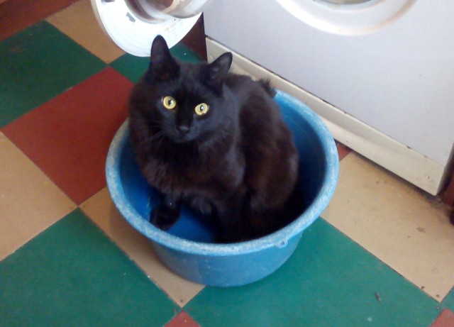 Его первый вторник