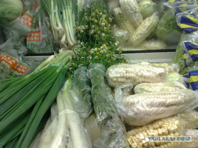 Не Сочи в противовес Египту, Турции и пр