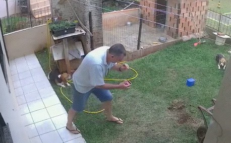 Хитрожопые кроты