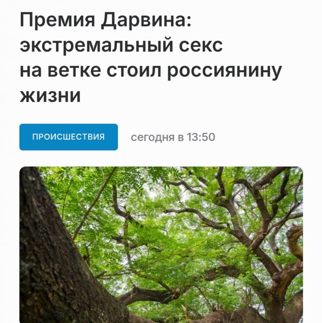С дуба рухнул