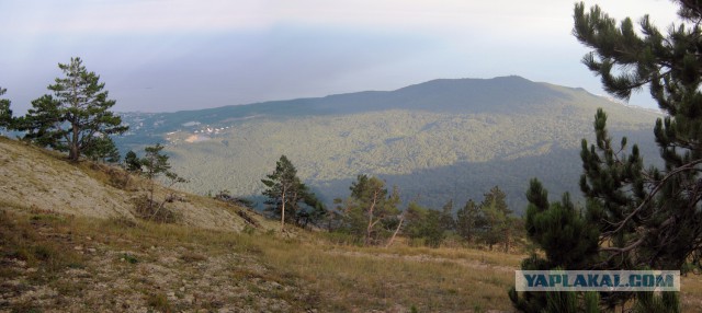 Велокрым