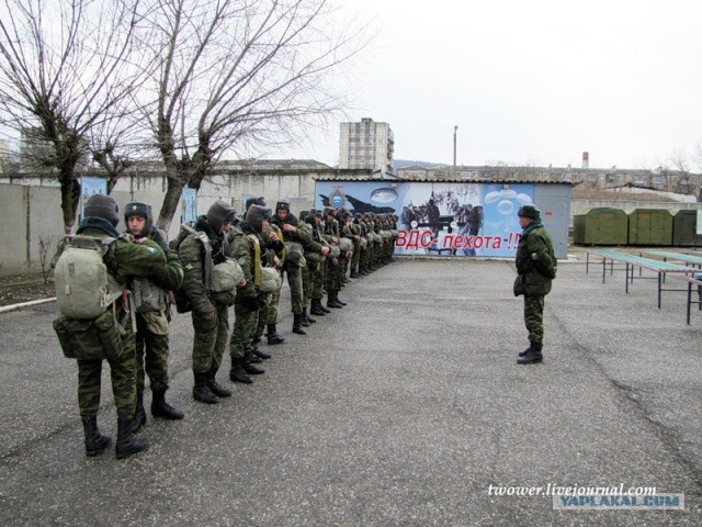7-я десантно-штурмовая дивизия (горная). Боевая по