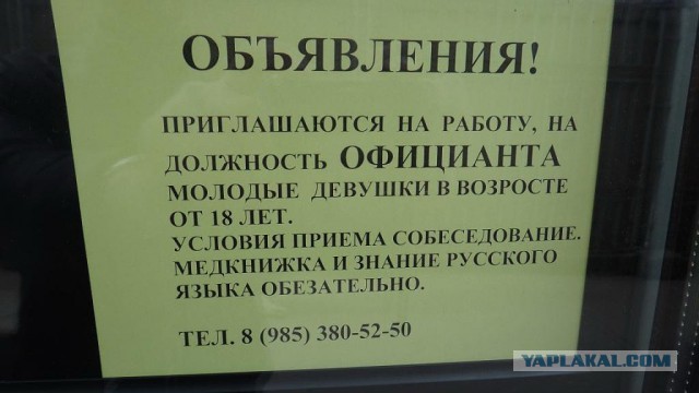 Цветочки ЕГЭ