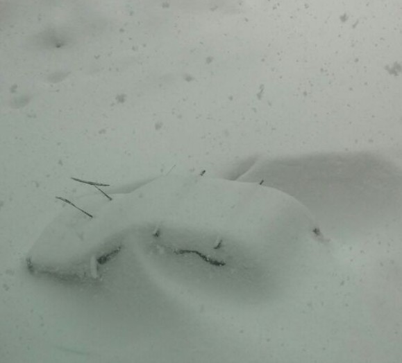 Дворники не примерзли и ладно...