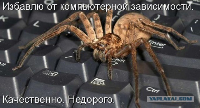 Давно демотиваторов не было