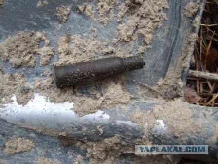 Первая вылазка в 2012 году и сразу клад!